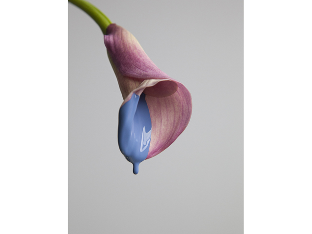 Flower Painting 1 (small)